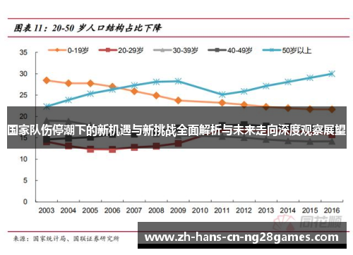 国家队伤停潮下的新机遇与新挑战全面解析与未来走向深度观察展望