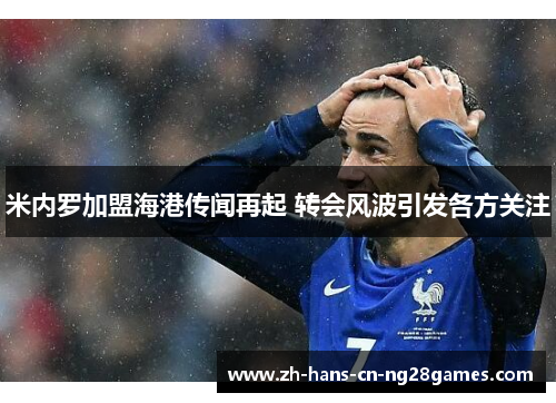 米内罗加盟海港传闻再起 转会风波引发各方关注