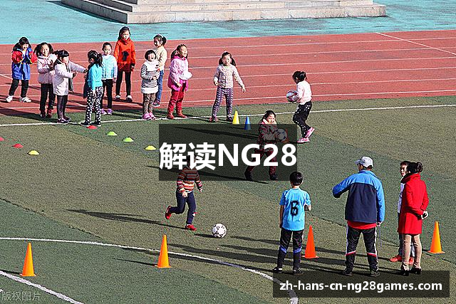 解读NG28
